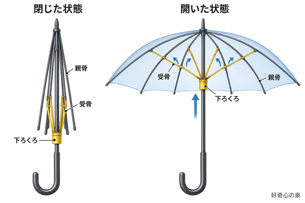下ろくろの上下運動が親骨の開閉へ変わる仕組み