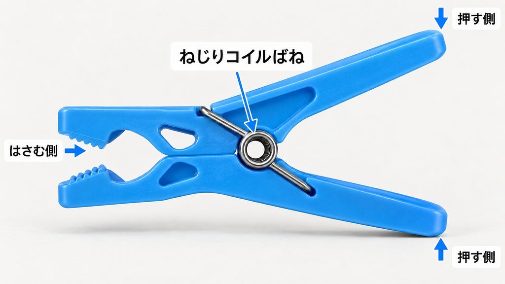 中央のねじりコイルばねを支点に、右の持ち手を押すと左の口が開く青い洗濯ばさみ